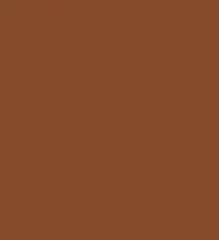 FireShot Capture 100 - #864b2b.png