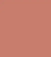 FireShot Capture 073 - #c67d6c.png