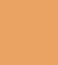 FireShot Capture 284 - #eaa363.png