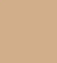 FireShot Capture 277 - #d1af8a COLOR.png