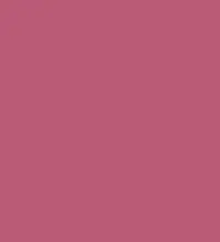 FireShot Capture 340 - #ba5b76.png