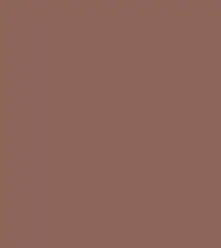 FireShot Capture 202 - #8c6659.png