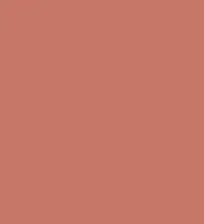 FireShot Capture 064 - #c67766.png
