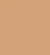 FireShot Capture 257 - #d4a378.png