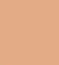 FireShot Capture 263 - #e3ac86.png