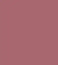 FireShot Capture 190 - #a86770.png
