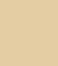 FireShot Capture 266 - #e4cda3.png
