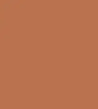 FireShot Capture 108 - #ba7250.png