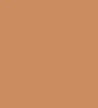 FireShot Capture 050 - #cb8b5f.png