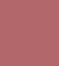 FireShot Capture 168 - #b3676a.png