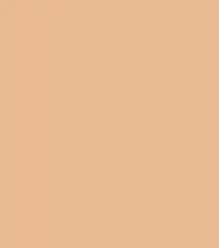 FireShot Capture 258 - #eaba9.png