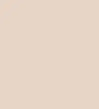 FireShot Capture 144 - #e7d4c5.png