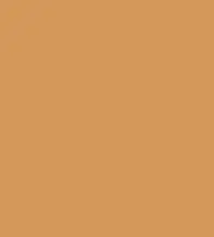 FireShot Capture 283 - #d5975a.png