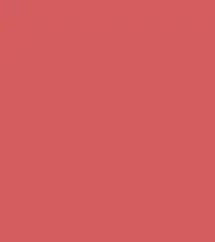 FireShot Capture 306 - #d45d5F.png