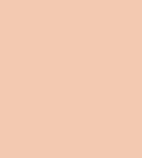 FireShot Capture 195 - #f5c8b0.png