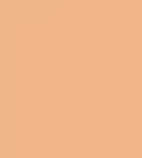 #eeb58b.png