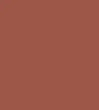 FireShot Capture 326 - #9d5749.png