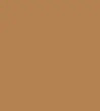 FireShot Capture 220 - #b58150.png