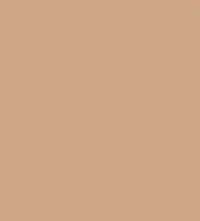 FireShot Capture 351 - #cfa688.png