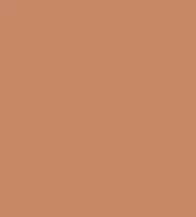 FireShot Capture 005.png