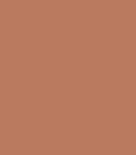 FireShot Capture 101 - #b97b5f.png