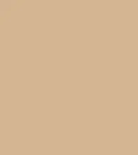 FireShot Capture 127 - #d3b591.png