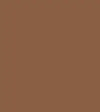 #8a5f44.png