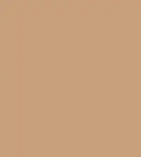 FireShot Capture 265 - #c8a07c.png