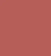 FireShot Capture 300 - #b65f58.png