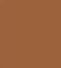 FireShot Capture 167 - #9a623c.png