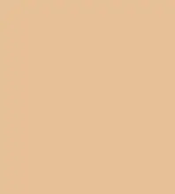 FireShot Capture 029 - #e6c096.png