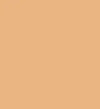 FireShot Capture 367 - #eab583.png