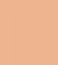 #edb48f.png