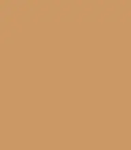 #cc9965.png