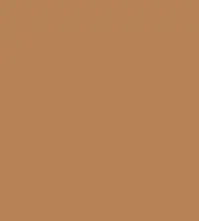 FireShot Capture 274 - #b68356.png