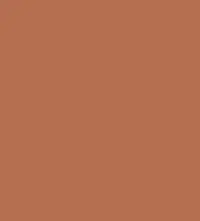 FireShot Capture 099 - #b56e4e.png