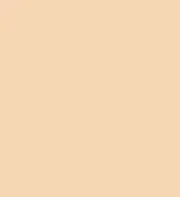 FireShot Capture 199 - #f6d7b5.png