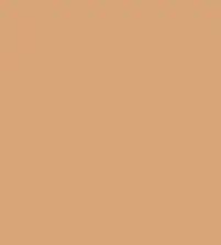 FireShot Capture 207 - #d8a377.png
