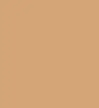 FireShot Capture 231 - #d4a578.png