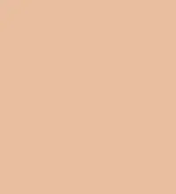 FireShot Capture 346 - #e9be9f.png