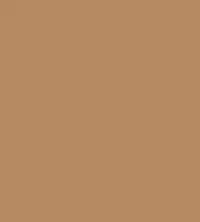 FireShot Capture 109 - #b68a63.png