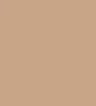 FireShot Capture 279 - #c9a487.png