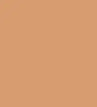 FireShot Capture 386 - #d79c71.png