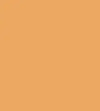 FireShot Capture 282 - #eda762.png