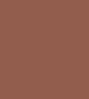 #915e4b.png