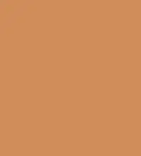 FireShot Capture 387 - #d08c5b.png