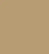 FireShot Capture 116 - #b89c74.png
