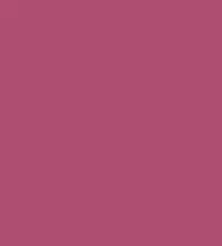 FireShot Capture 079 - #ae4e70.png