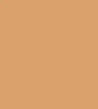 FireShot Capture 092 - #d99f6d.png