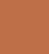 FireShot Capture 105 - #bc6e48.png